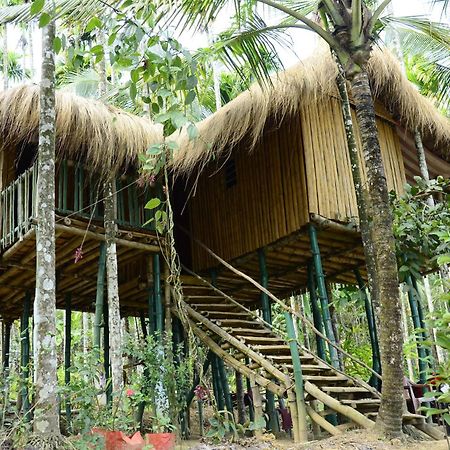 Greenways Tree House And Mud House Chegat Exterior photo